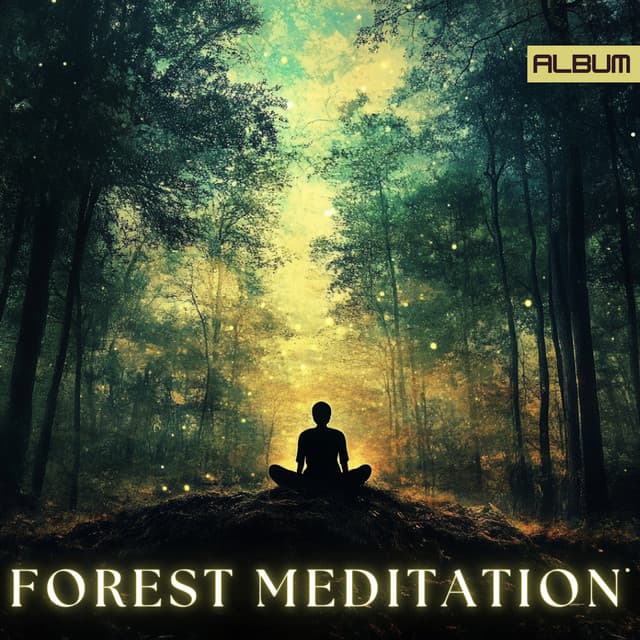 Forest Meditation: Ambient Calming Meditation Music for Deep Reflection and Relaxation - Meditation Music for the Soul