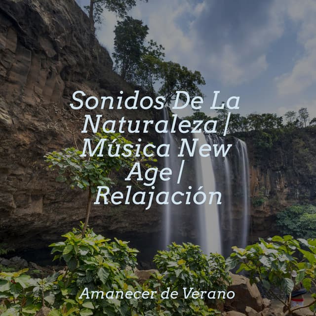 Sonidos De La Naturaleza | Música New Age | Relajación - Sonidos De Truenos y Lluvia