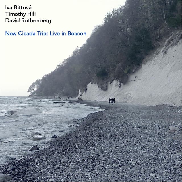 New Cicada Trio: Live in Beacon - Iva Bittová