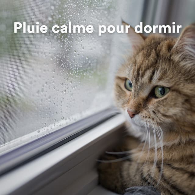 Pluie calme pour dormir - Rain Radiance