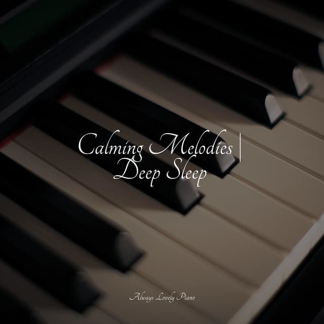 Calming Melodies | Deep Sleep - Piano Relaxation Maestro