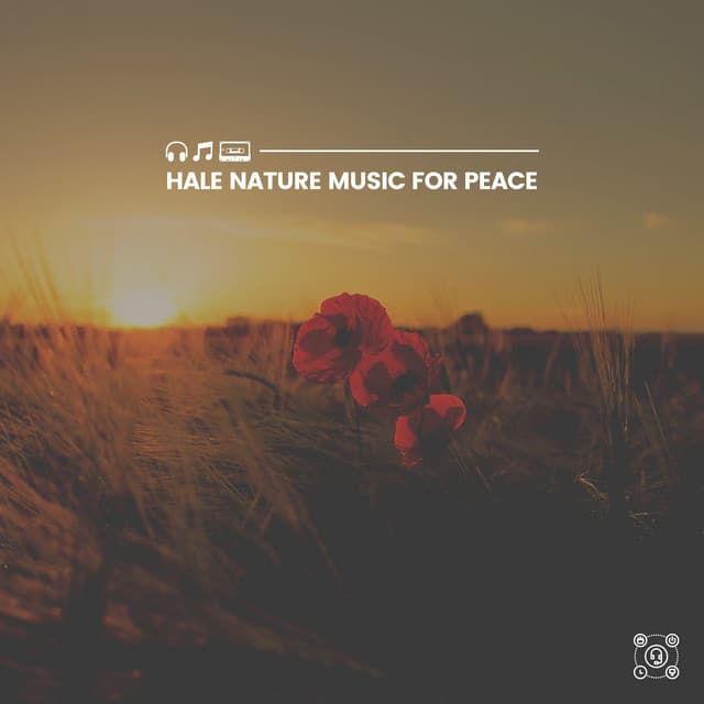 Hale Nature Music for Peace - Florida Nature