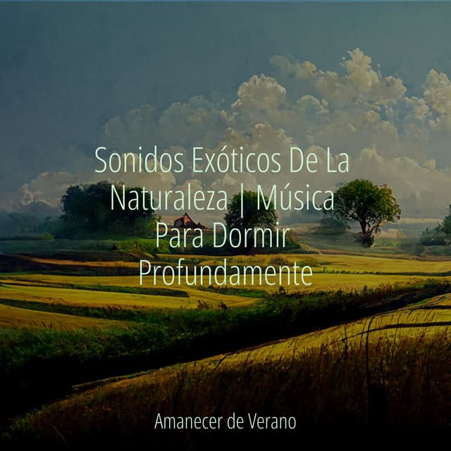 Sonidos Exóticos De La Naturaleza | Música Para Dormir Profundamente - Yoga
