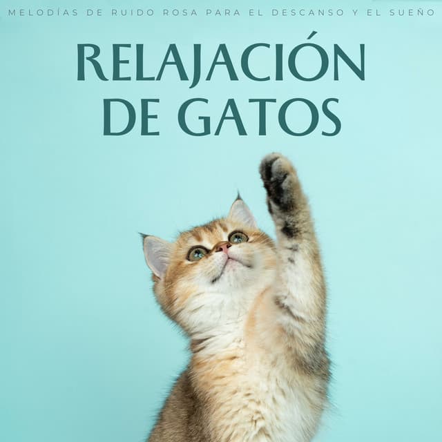 Zona de música de gatos