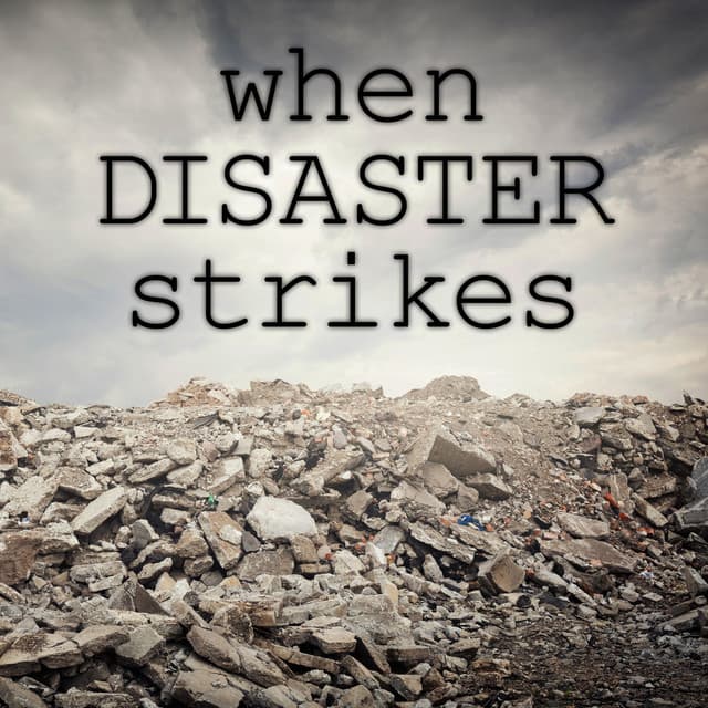 When Disaster Strikes - Gregor F. Narholz