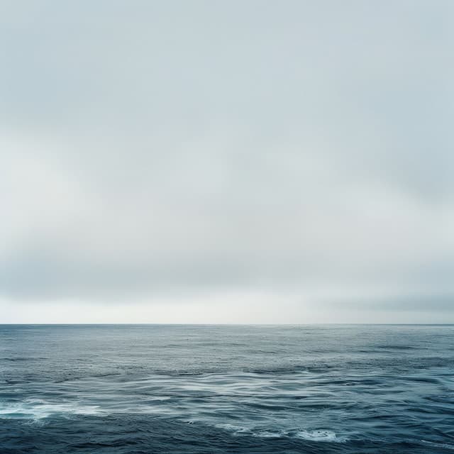 From Coast to Conversion - Ocean Sounds White Noise For Sleep