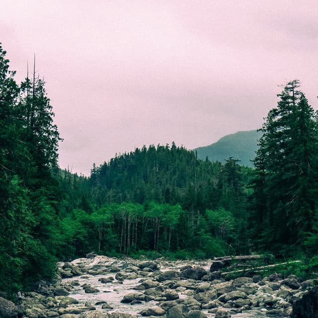 1 Rainy Night: Currents And Streams - 24H Rain Sounds