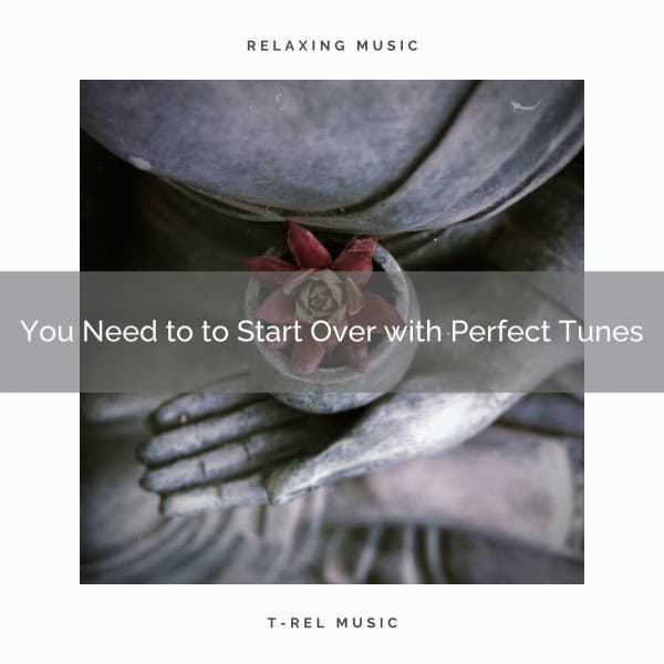 2020 Best: You Need to to Start Over with Perfect Tunes - Spa Zen