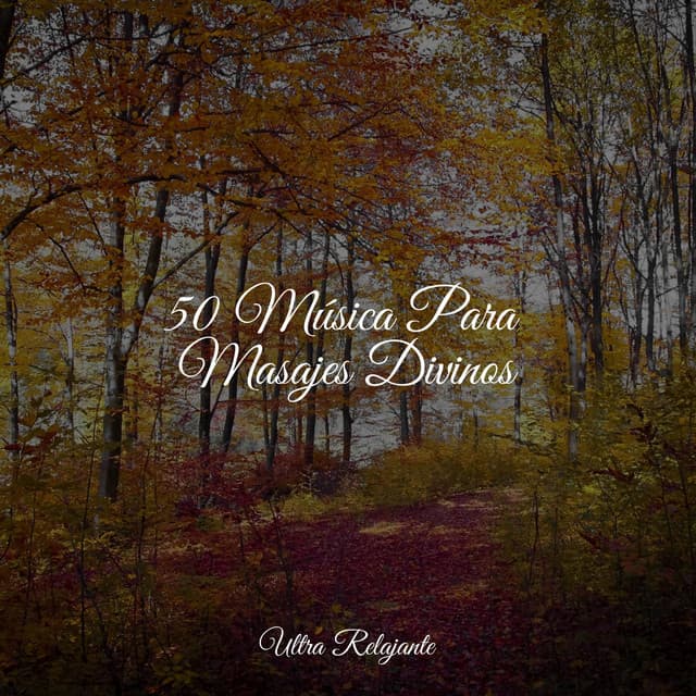 50 Música Para Masajes Divinos - Escola de Meditação