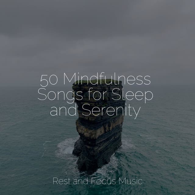 50 Mindfulness Songs for Sleep and Serenity - Deep Focus