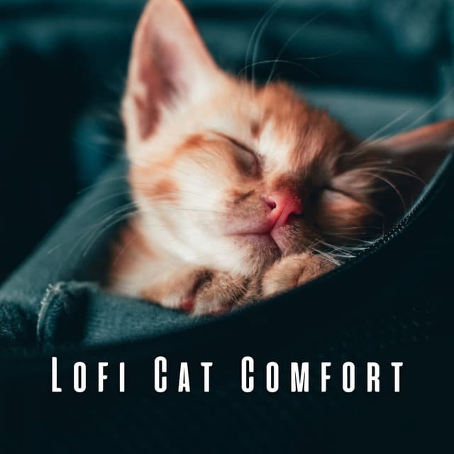 Lofi Cat Comfort: Chill Music for Calm Kittens - Hip Hop Instrumentalist