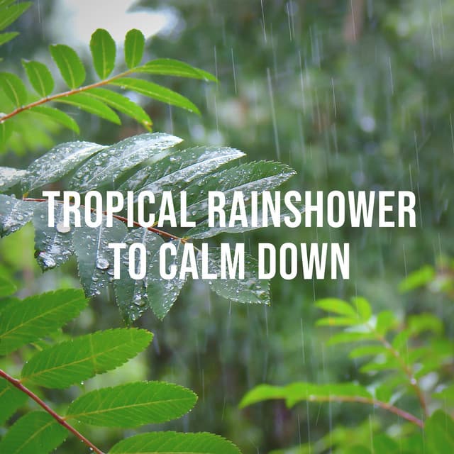 Tropical Rainshower to Calm Down - Calming Rain