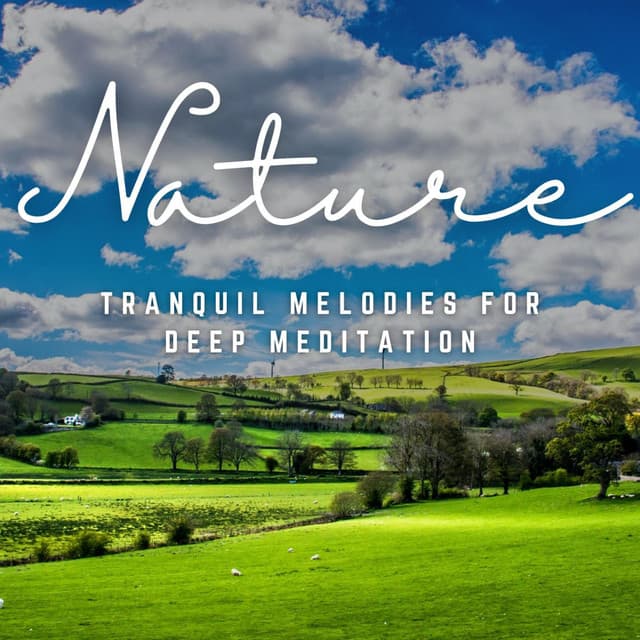Peaceful Reverie: Tranquil Melodies for Deep Meditation - Mindvellous