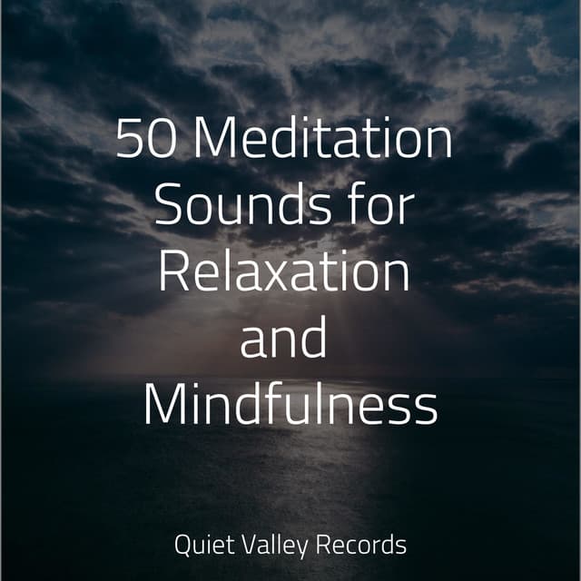 50 Meditation Sounds for Relaxation and Mindfulness - Saludo al Sol Sonido Relajante