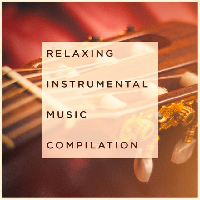 Relaxing Instrumental Music Compilation - Soothing Music for Sleep Academy