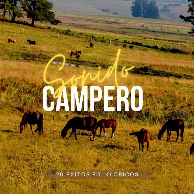 Sonido Campero - CDI RECORDS S.A.