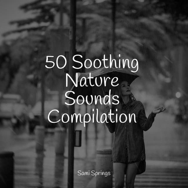 50 Ambient Rain Drop Sounds - It's Raining