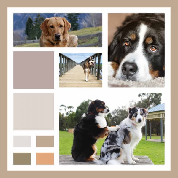 Extraordinary Ambiance for Sweet Dogs - Songs for Dogs to Sleep To