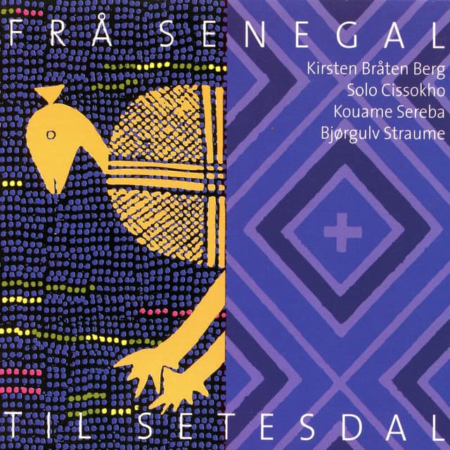 Frå Senegal Til Setesdal - Kirsten Bråten Berg