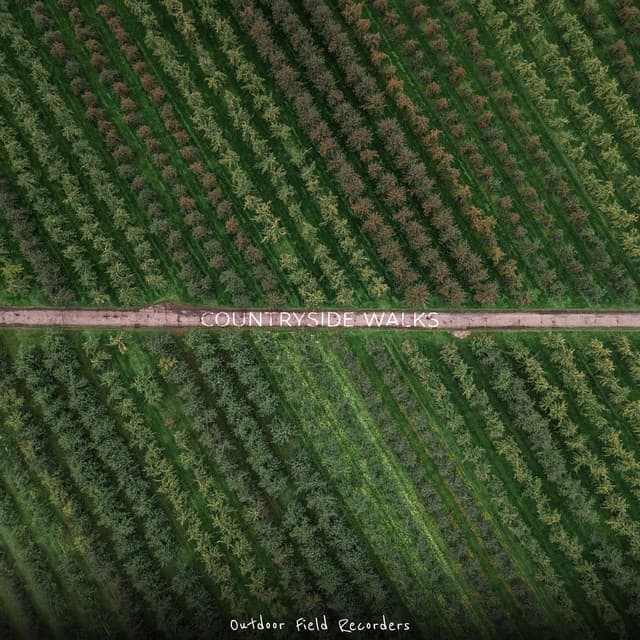 Countryside Walks - Outdoor Field Recorders