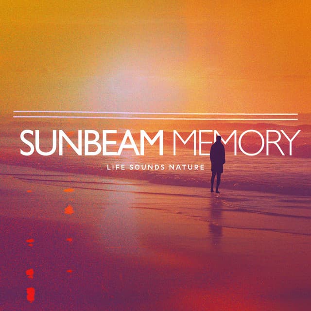 Sunbeam Memory - Life Sounds Nature
