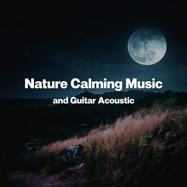 Nature Calming Music and Guitar Acoustic: Mindfulness Meditation for Anxiety, Cozy Sleep Therapy, Affirmations before Bed - Calming Music Sanctuary