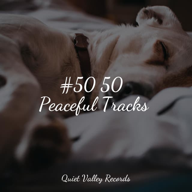 #50 50 Peaceful Tracks - Natural Rain Sounds for Sleeping
