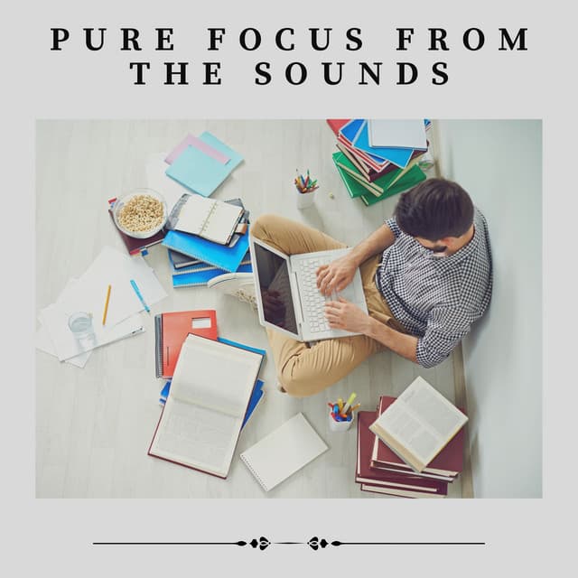 Pure Focus from the Sounds - Study Radiance