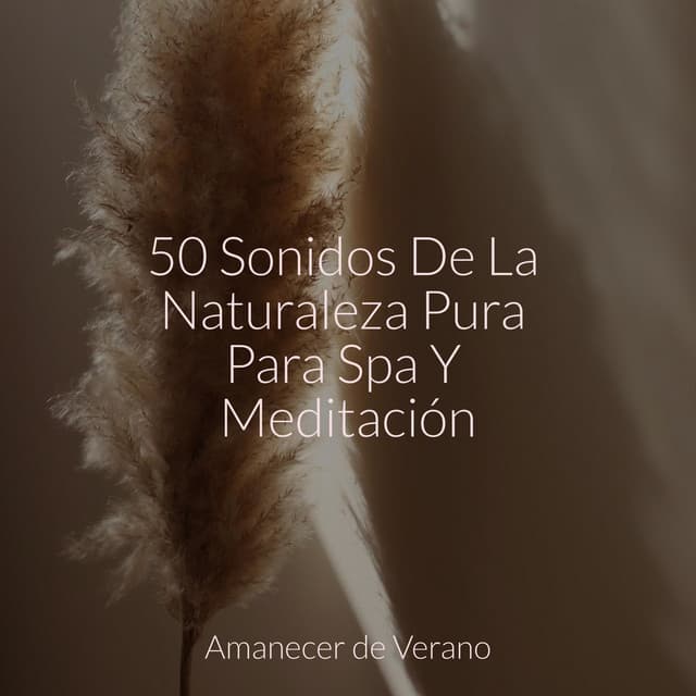 50 Sonidos De La Naturaleza Pura Para Spa Y Meditación - Calming Sounds