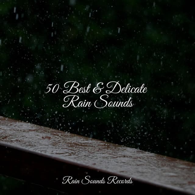 50 Best & Delicate Rain Sounds - Cascada de Lluvia