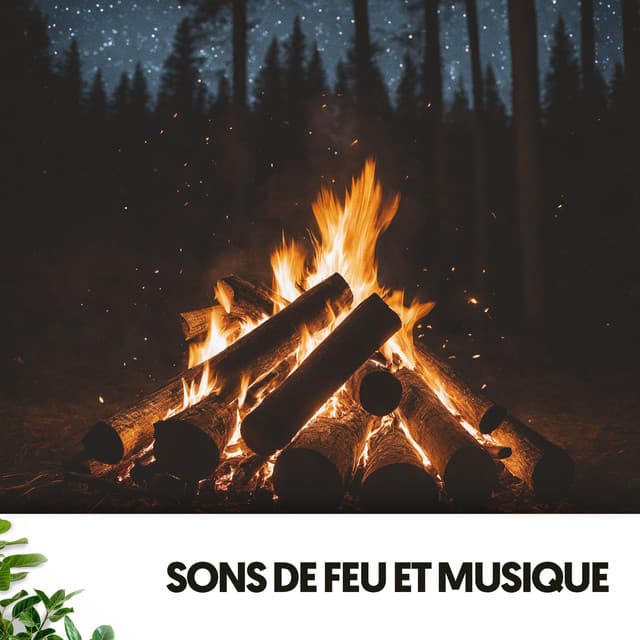 Sons de Feu et Musique : Danse sous les Étoiles - Relajacion