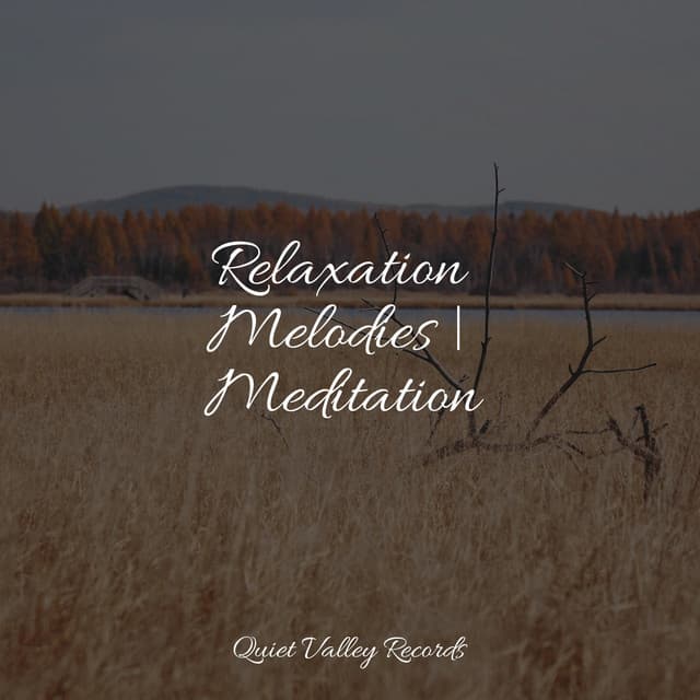 Relaxation Melodies | Meditation - Natural Sound Makers
