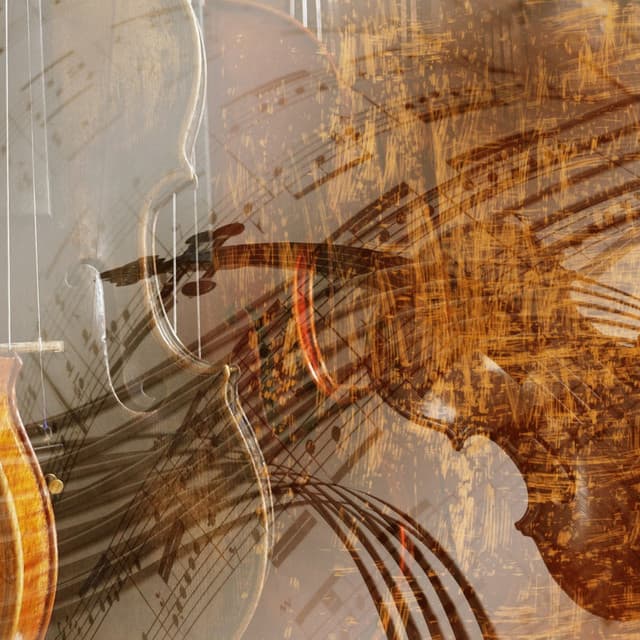 Blissful Sleep: Music For Dreamland Delight - Tech Sleep