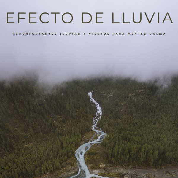 Efecto De Lluvia: Reconfortantes Lluvias y Vientos Para Mentes Calmas - Música Para La Relajación