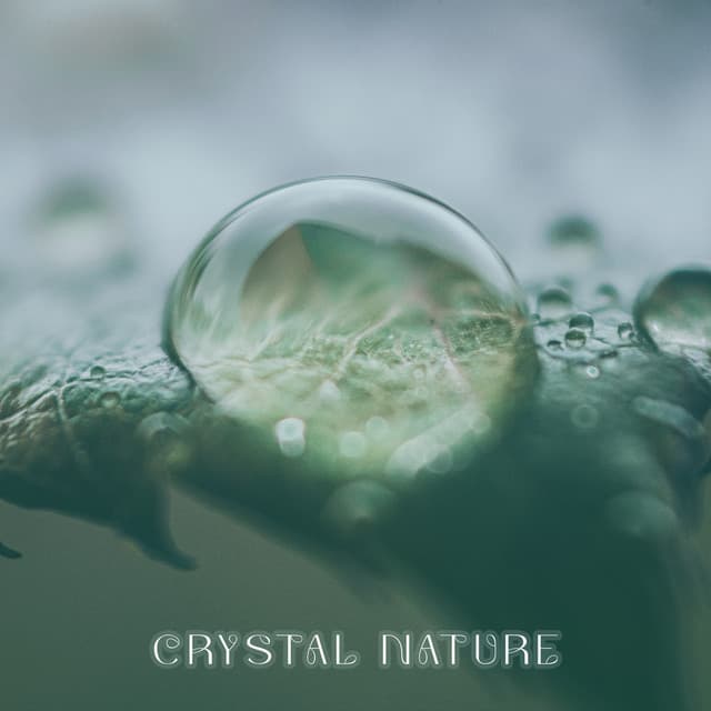 Crystal Nature: Relaxing Ocean Waves, Bird Songs, Forest Soundscapes, Flowing River - Pure Sound Universe
