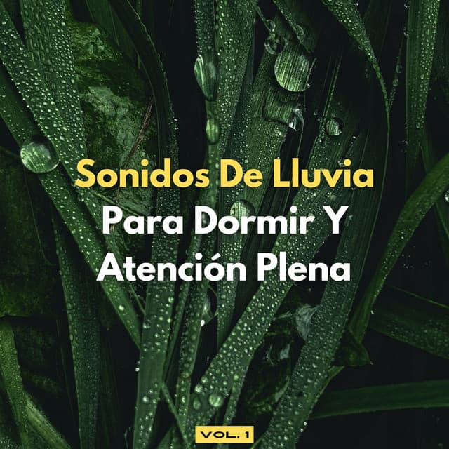 Sonidos De Lluvia Para Dormir Y Atención Plena, Vol. 1 - Lluvia tranquila para dormir