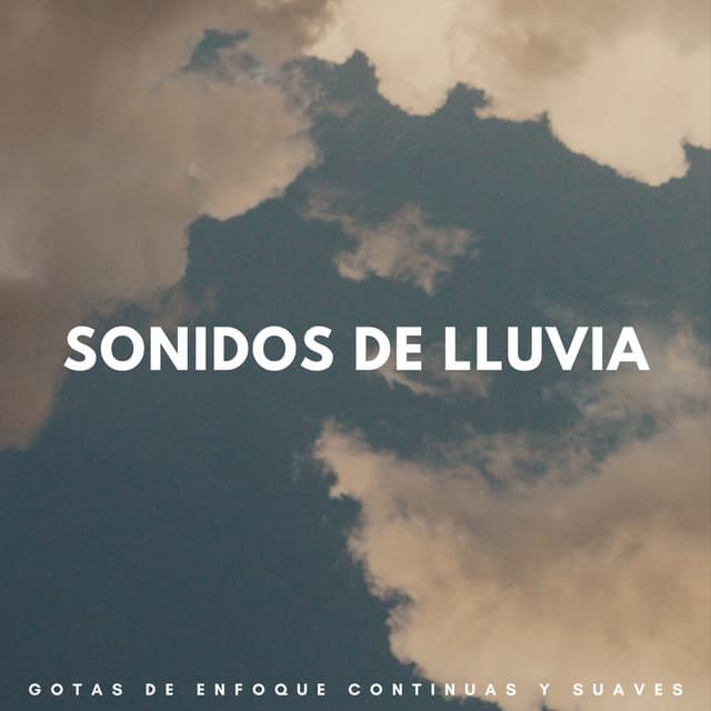 Sonidos De Lluvia: Gotas De Enfoque Continuas Y Suaves - Lluvia en el Bosque