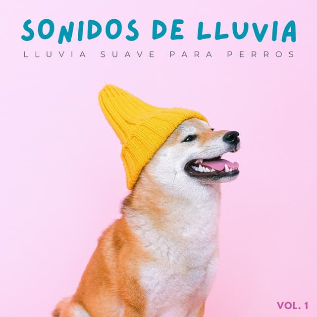 Sonidos De Lluvia: Lluvia Suave Para Perros Vol. 1 - Lluvia Relajante