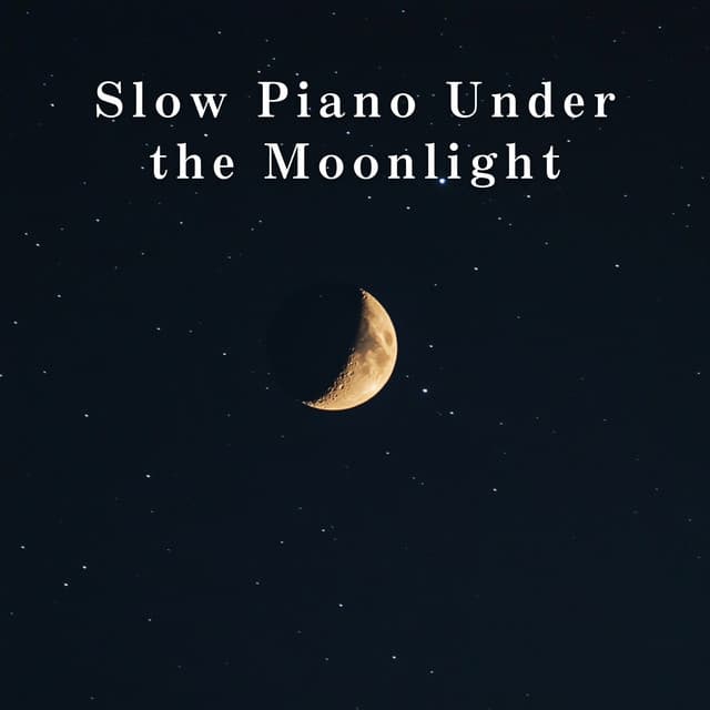 Slow Piano Under the Moonlight - Relaxing BGM Project