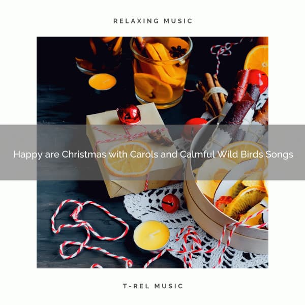 Happy are Christmas with Carols and Calmful Wild Birds Songs - Calming Sounds