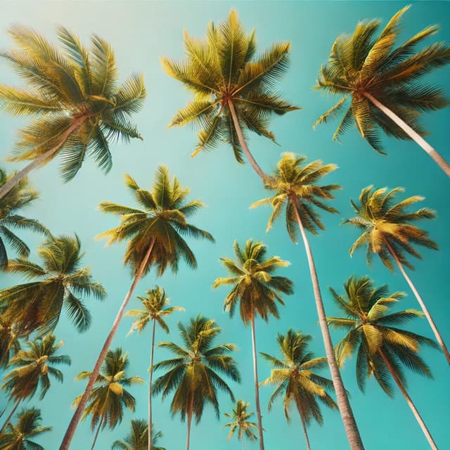 Dancing Palms - Summer 2024