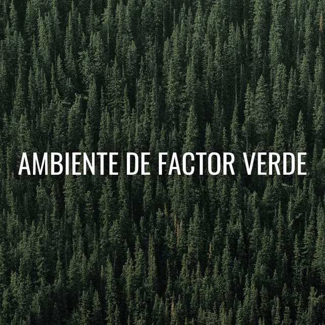 Ambiente De Factor Verde - Verde 5