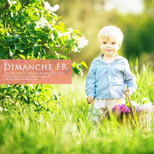 An Authentic Classical Collection That Gives Bright Refreshing Vitality - Dimanche FR