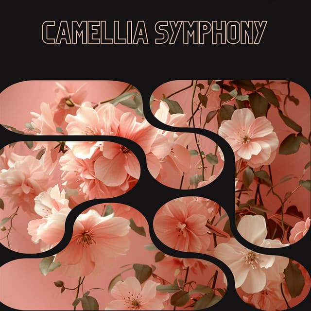 Camellia Symphony - Floral Health - HerBaLance