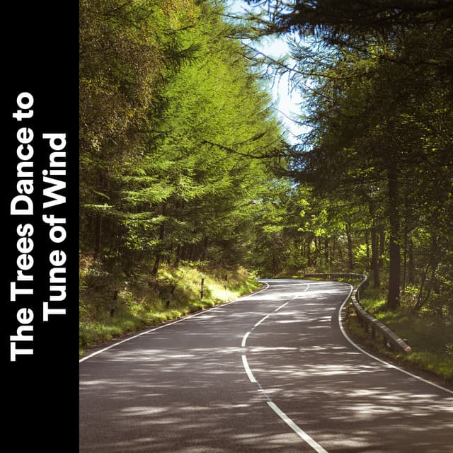 The Trees Dance to Tune of Wind - Weather and Nature Recordings