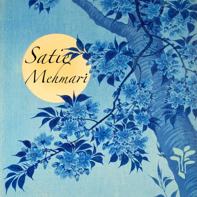 André Mehmari Plays Satie - Erik Satie