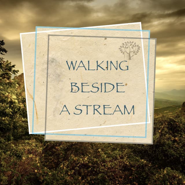Walking Beside a Stream - Nature Sounds