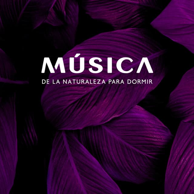 Música de la Naturaleza para Dormir: Sonidos Tranquilos New Age para un Sueño Profundo y Curativo - Dormir Maestro