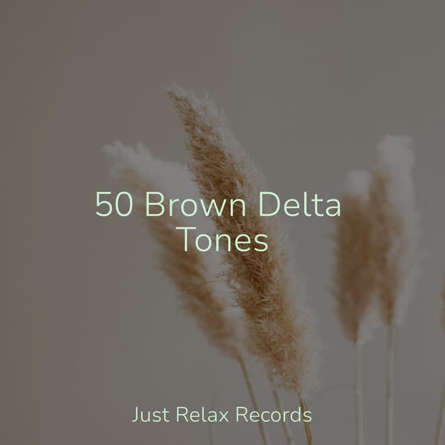 50 Brown Delta Tones - Mantra para Meditar