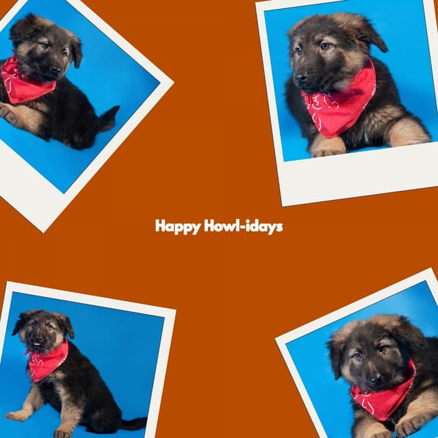 Happy Howl-idays - Cafe Music Deluxe